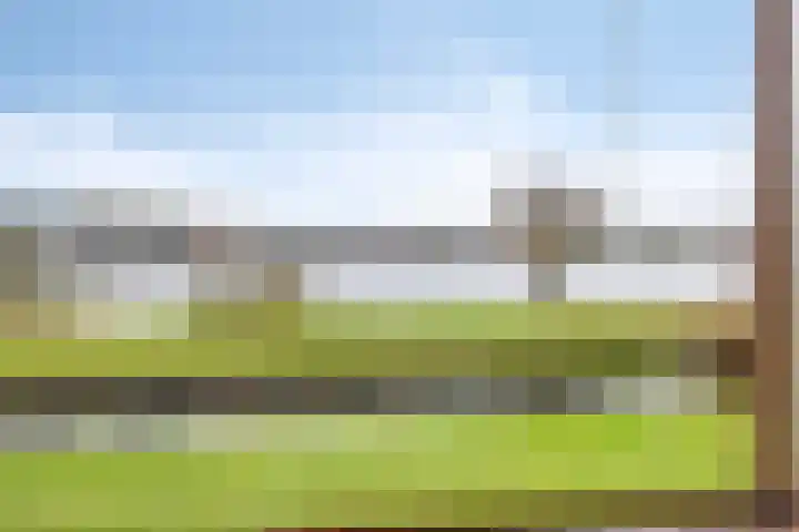 Maaslaantje 1 A Maasdam thumbnail 16