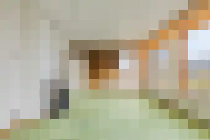 Maaslaantje 1 A Maasdam thumbnail 17