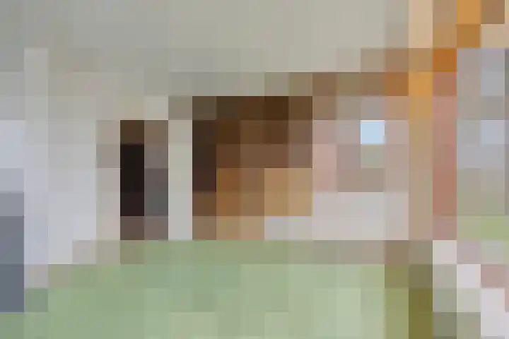 Maaslaantje 1 A Maasdam thumbnail 18