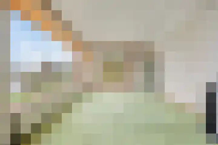 Maaslaantje 1 A Maasdam thumbnail 19
