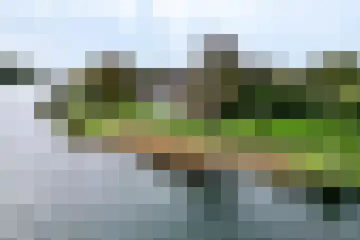 Maaslaantje 1 A Maasdam foto 2