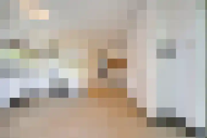 Maaslaantje 1 A Maasdam thumbnail 21