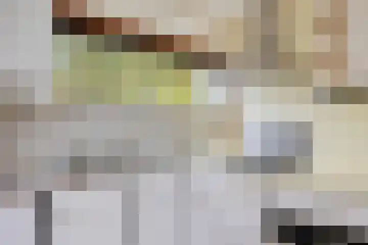 Maaslaantje 1 A Maasdam thumbnail 23