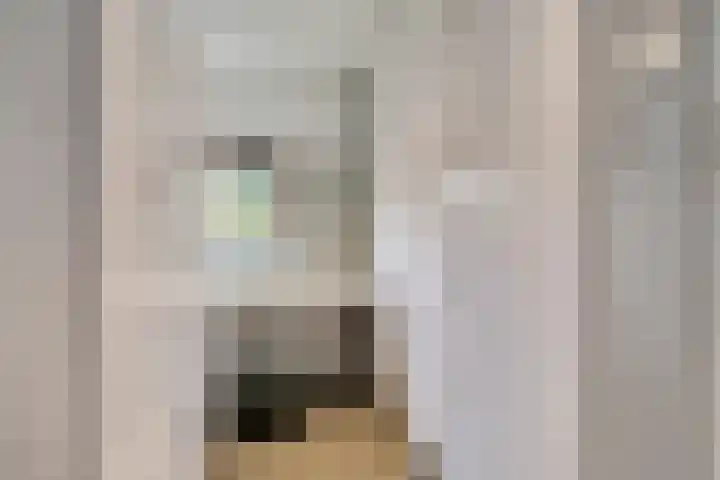 Maaslaantje 1 A Maasdam thumbnail 25