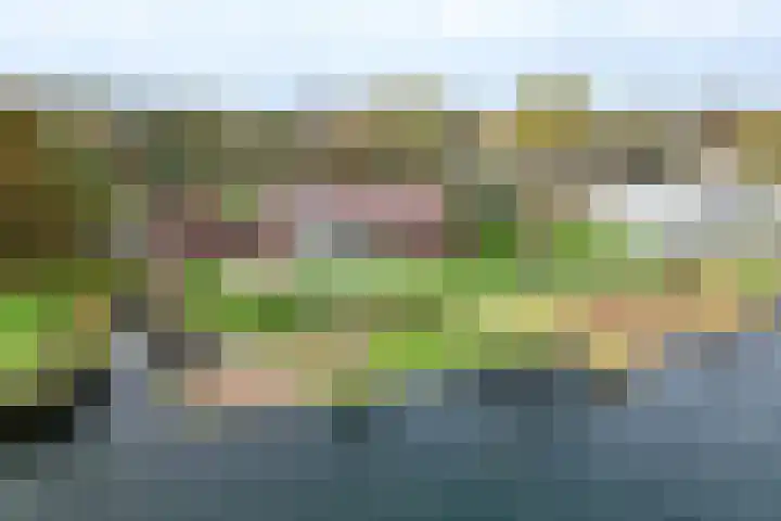 Maaslaantje 1 A Maasdam foto 3