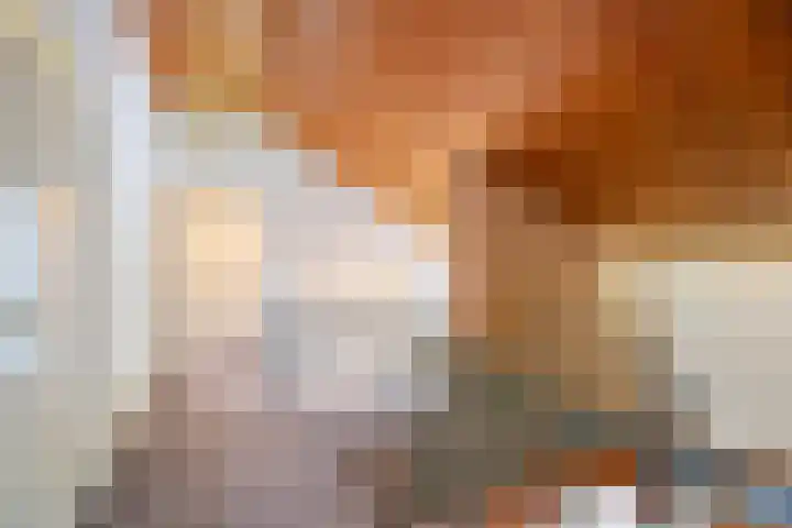 Maaslaantje 1 A Maasdam thumbnail 34