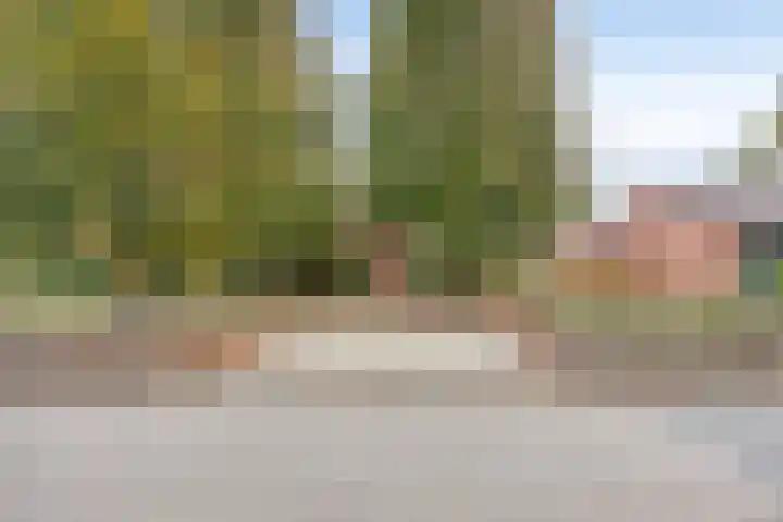 Maaslaantje 1 A Maasdam thumbnail 4