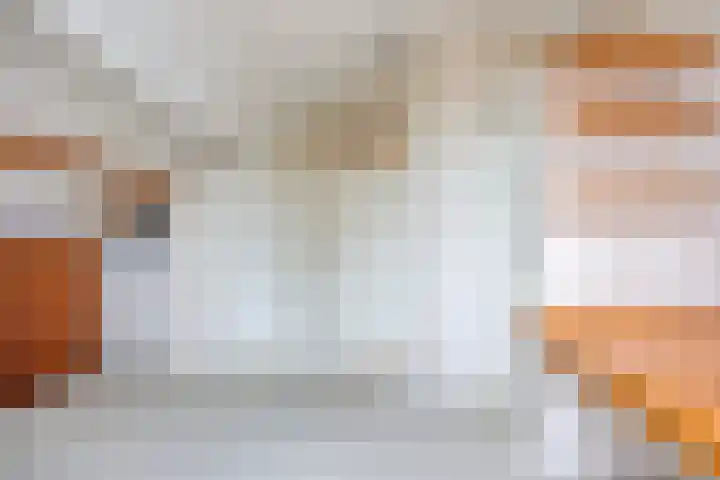 Maaslaantje 1 A Maasdam thumbnail 46