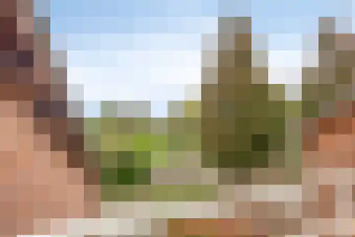 Maaslaantje 1 A Maasdam thumbnail 49