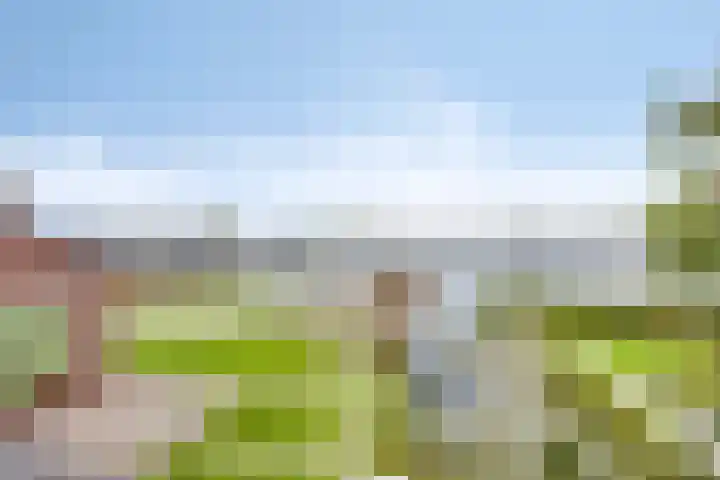 Maaslaantje 1 A Maasdam thumbnail 51