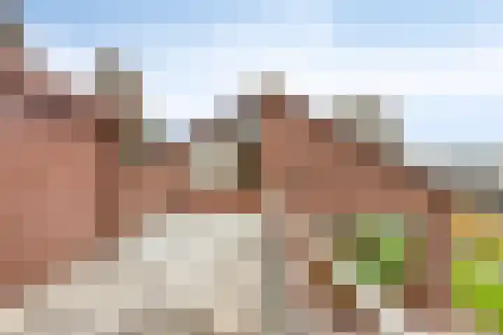 Maaslaantje 1 A Maasdam thumbnail 52