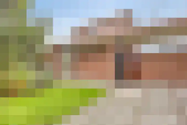 Maaslaantje 1 A Maasdam thumbnail 54