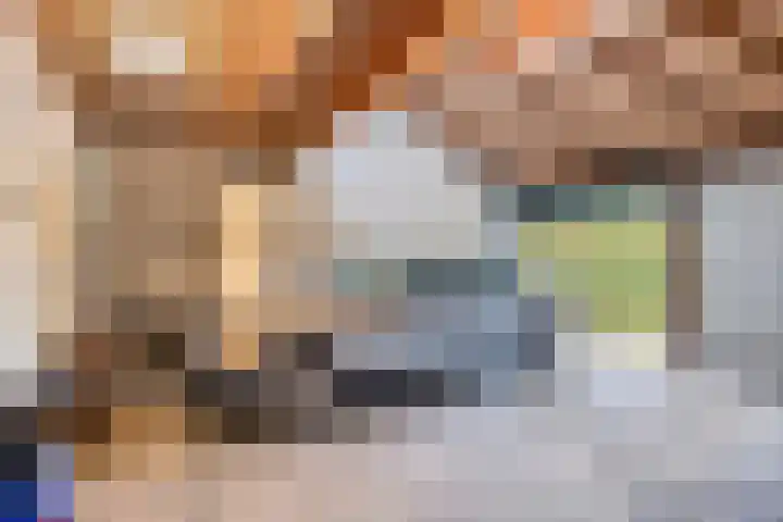 Maaslaantje 1 A Maasdam thumbnail 55