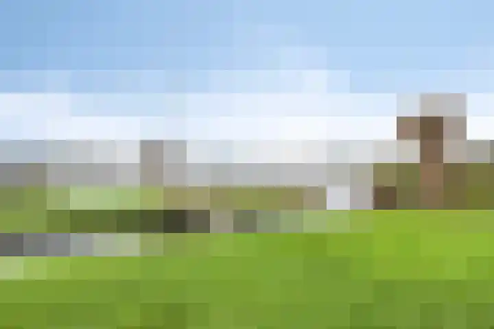 Maaslaantje 1 A Maasdam thumbnail 57