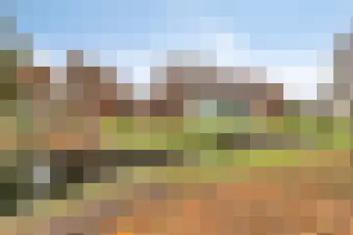 Maaslaantje 1 A Maasdam thumbnail 61