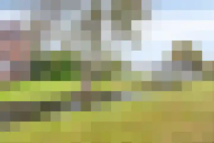 Maaslaantje 1 A Maasdam thumbnail 62