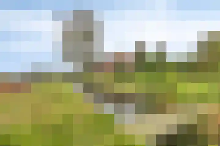 Maaslaantje 1 A Maasdam thumbnail 63