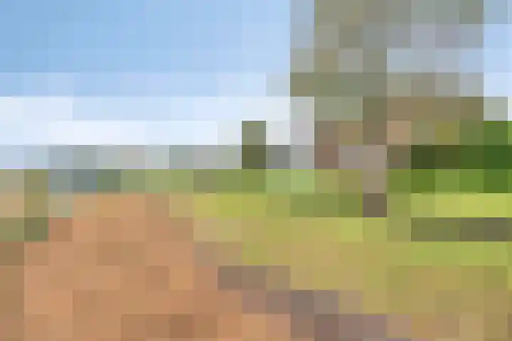 Maaslaantje 1 A Maasdam thumbnail 64