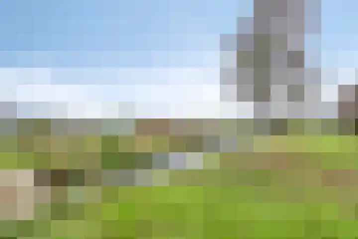 Maaslaantje 1 A Maasdam thumbnail 65
