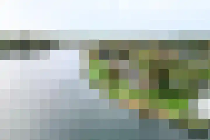 Maaslaantje 1 A Maasdam thumbnail 66
