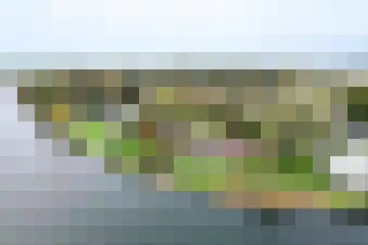 Maaslaantje 1 A Maasdam thumbnail 67