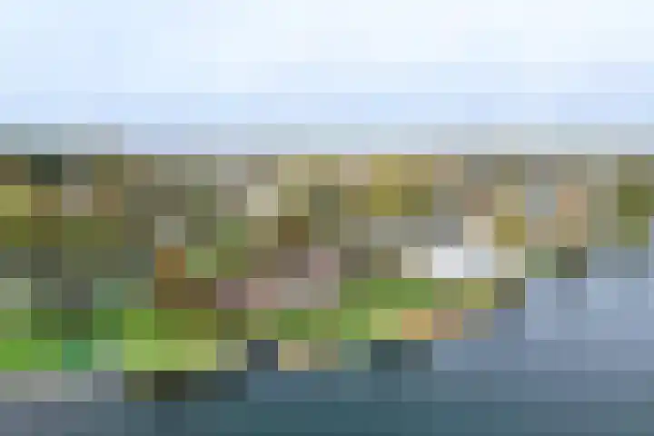Maaslaantje 1 A Maasdam thumbnail 68