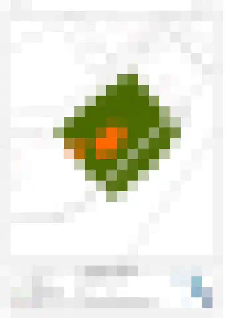 Maaslaantje 1 A Maasdam thumbnail 69