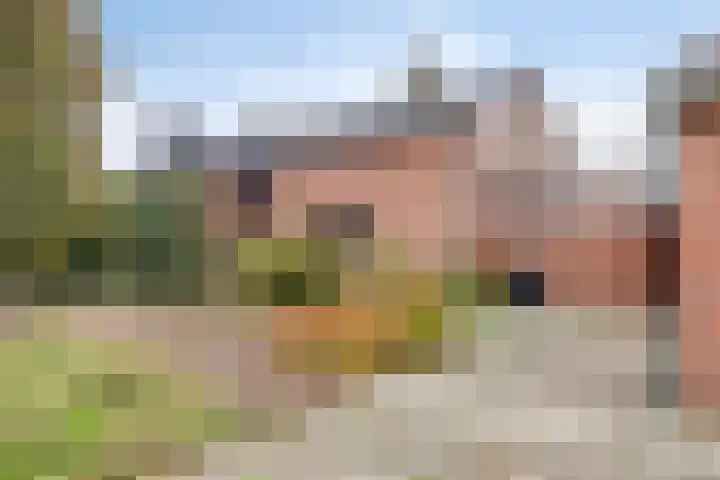 Maaslaantje 1 A Maasdam thumbnail 7