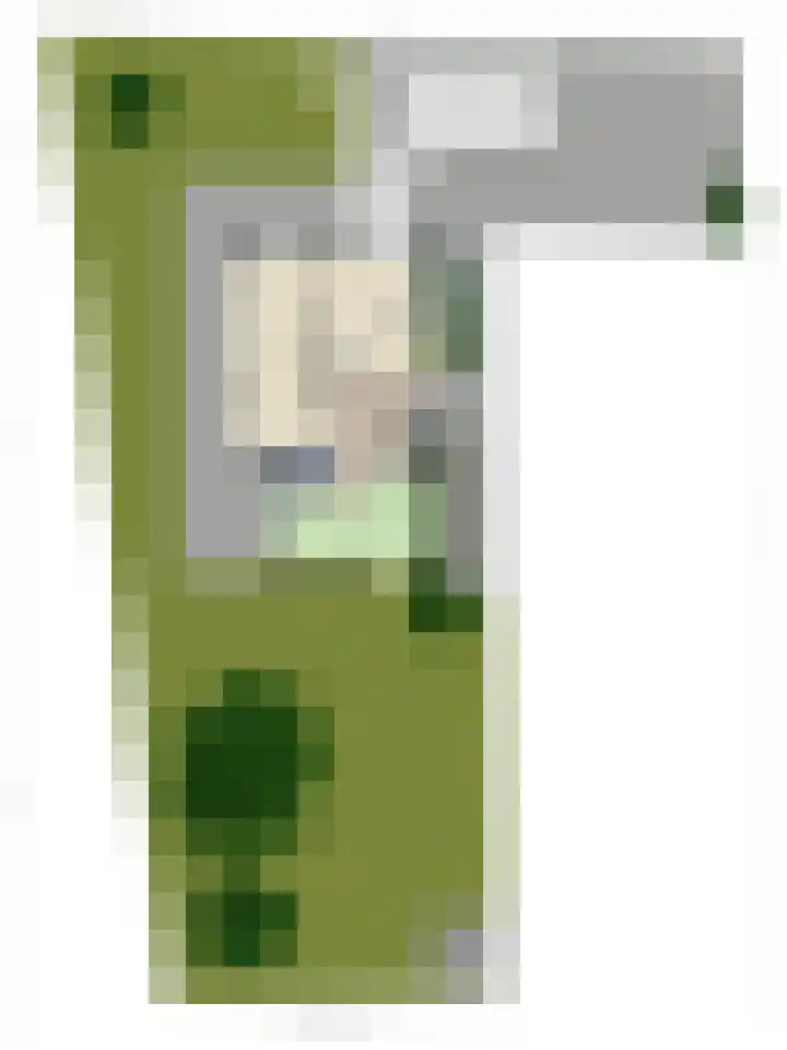Maaslaantje 1 A Maasdam thumbnail 71
