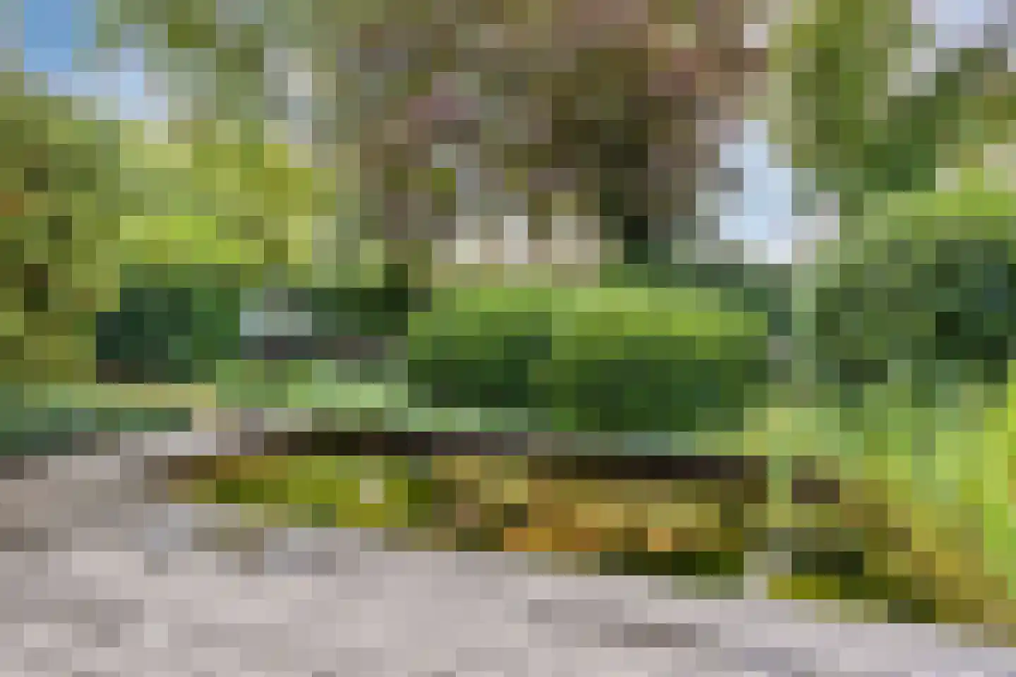 Maasland 16 Waalwijk thumbnail 28
