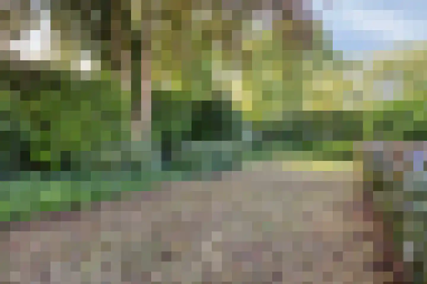 Maasland 16 Waalwijk thumbnail 30