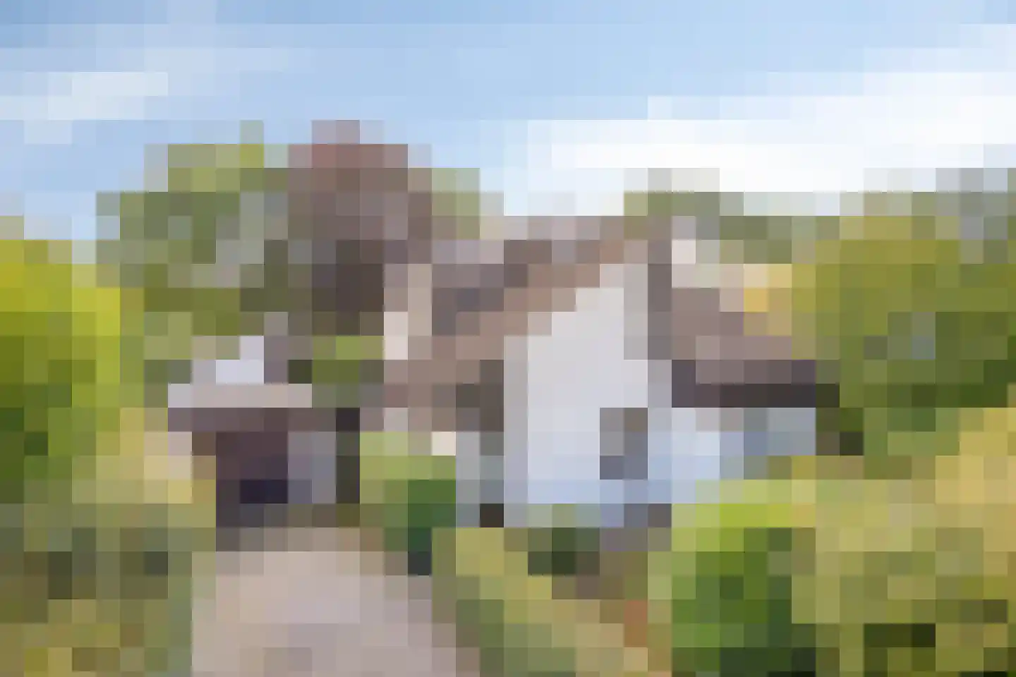 Maasland 16 Waalwijk thumbnail 32