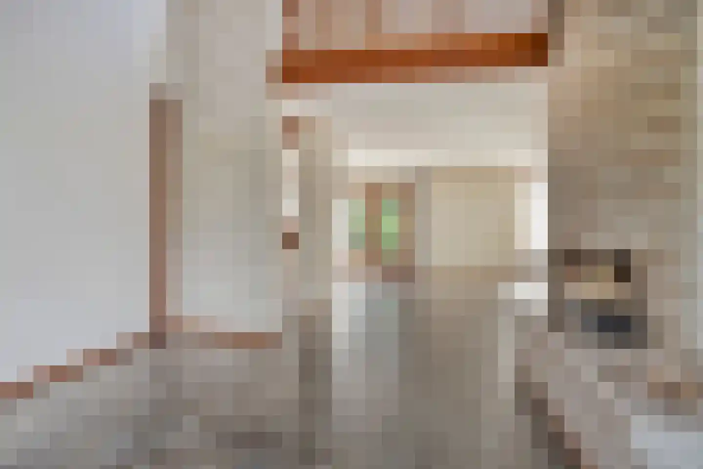 Maasland 16 Waalwijk thumbnail 4