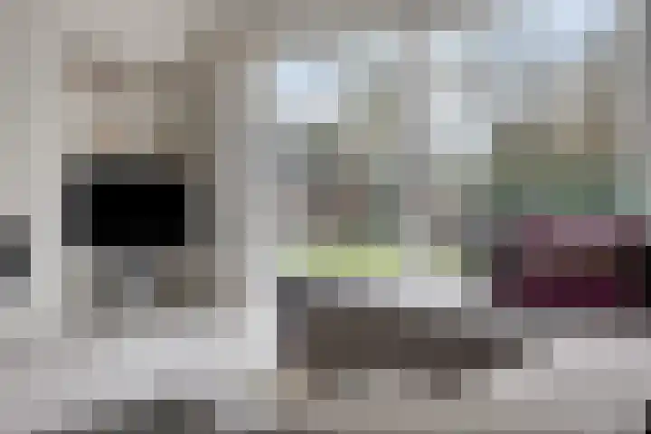 Maasland 20 Waalwijk thumbnail 10