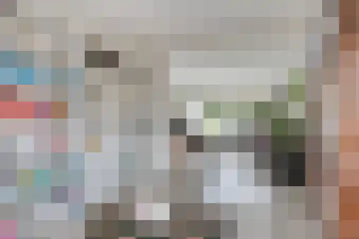 Maasland 20 Waalwijk thumbnail 16
