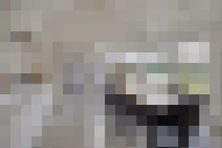 Maasland 20 Waalwijk thumbnail 31