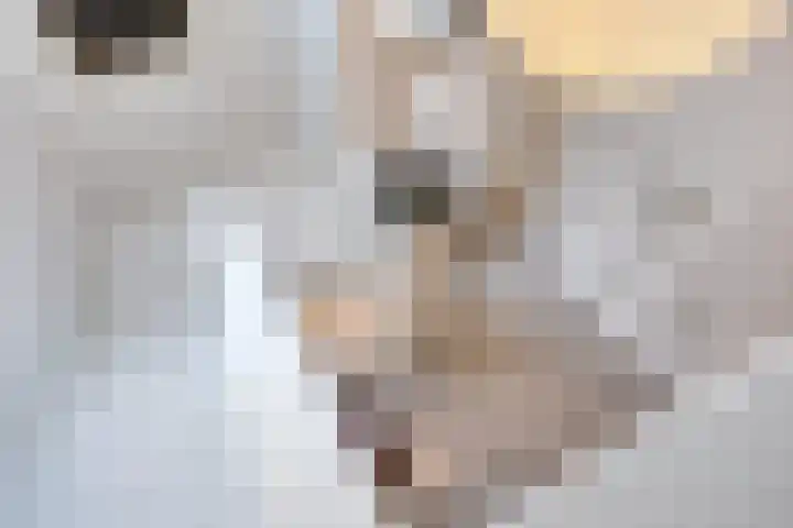 Maasland 20 Waalwijk thumbnail 37