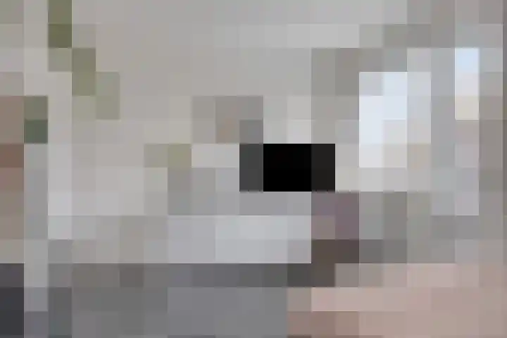 Maasland 20 Waalwijk thumbnail 42
