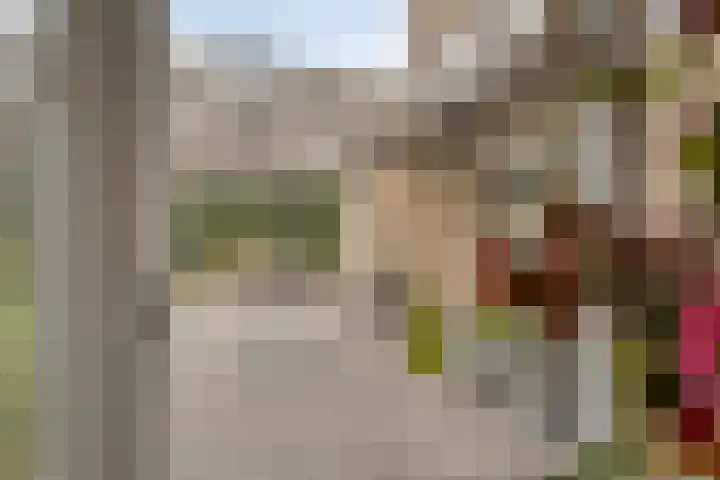 Maasland 20 Waalwijk thumbnail 50