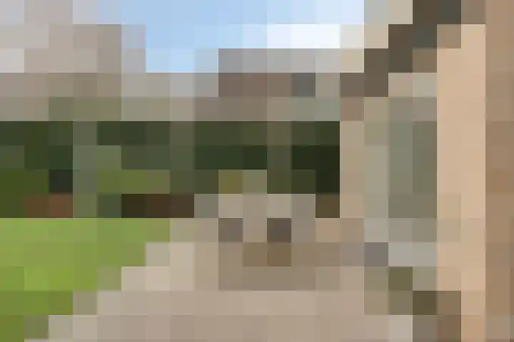 Maasland 20 Waalwijk thumbnail 53