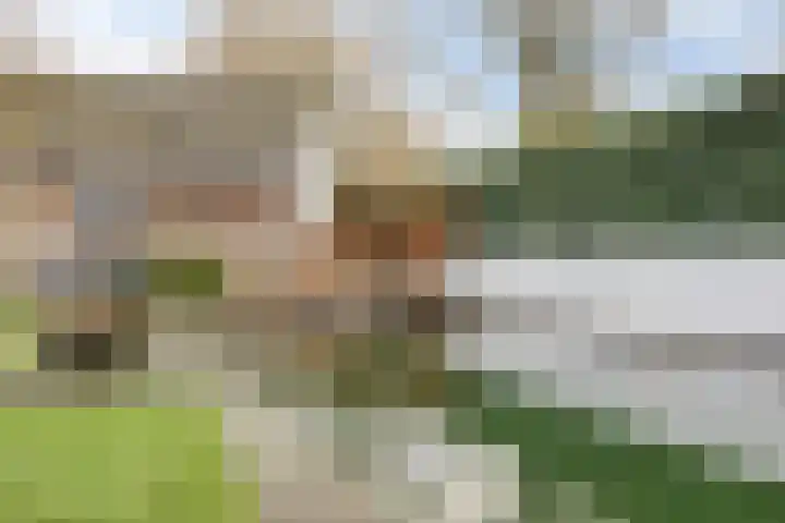 Maasland 20 Waalwijk thumbnail 56