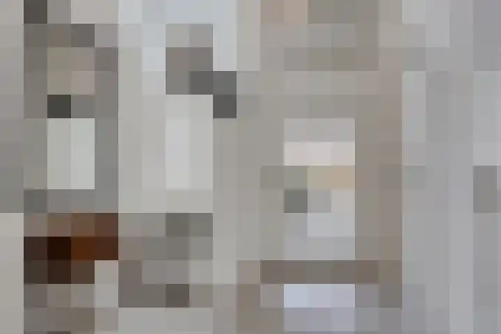 Maasland 20 Waalwijk thumbnail 7
