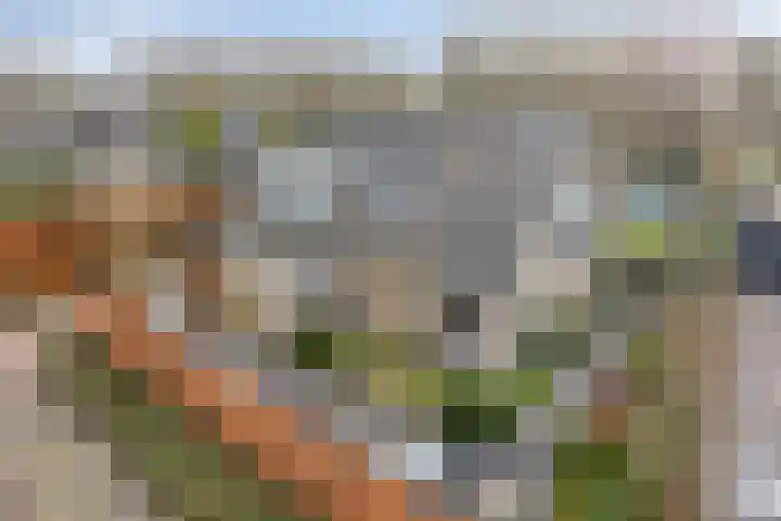 Maasland 20 Waalwijk thumbnail 70