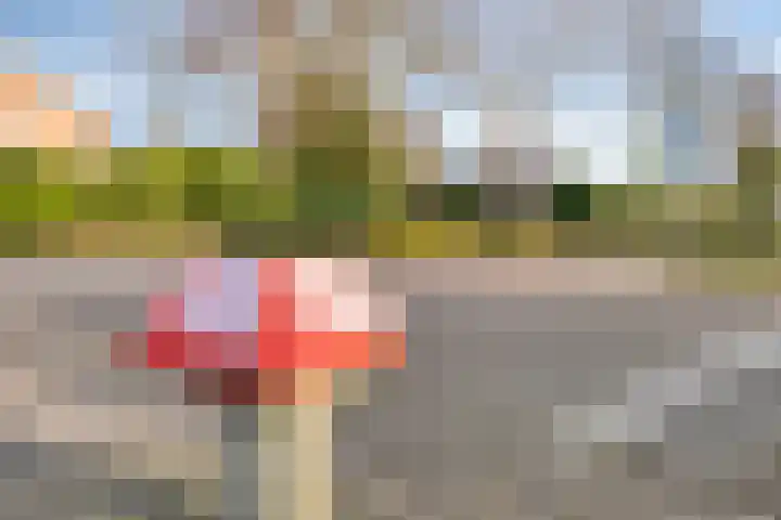 Maasland 20 Waalwijk thumbnail 75