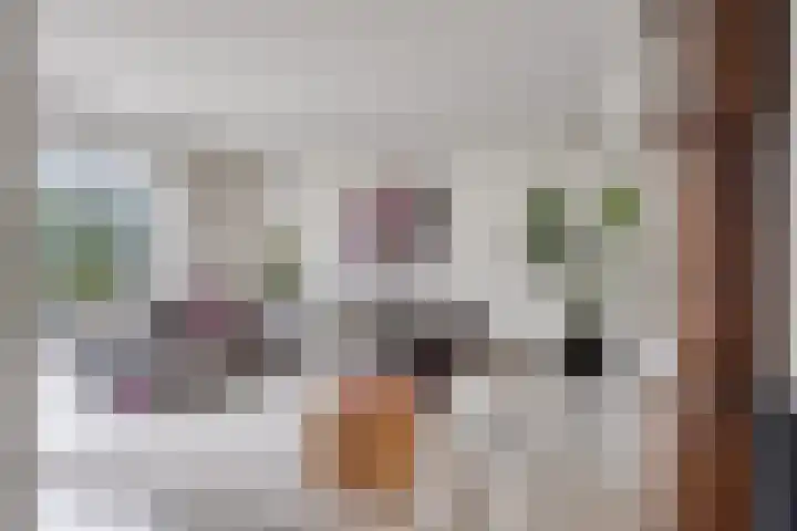 Maasland 20 Waalwijk thumbnail 9