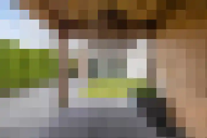 Maasland 38 Huizen thumbnail 38