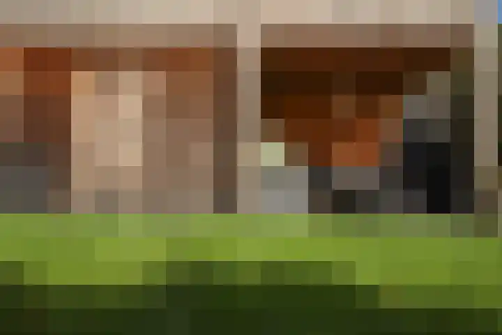 Maasland 38 Huizen thumbnail 39
