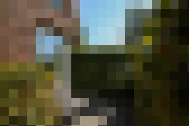 Maasland 38 Huizen thumbnail 4