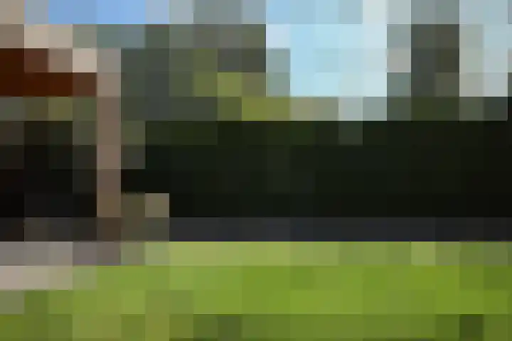Maasland 38 Huizen thumbnail 41