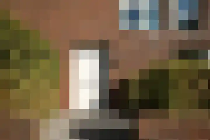 Maasland 38 Huizen thumbnail 5